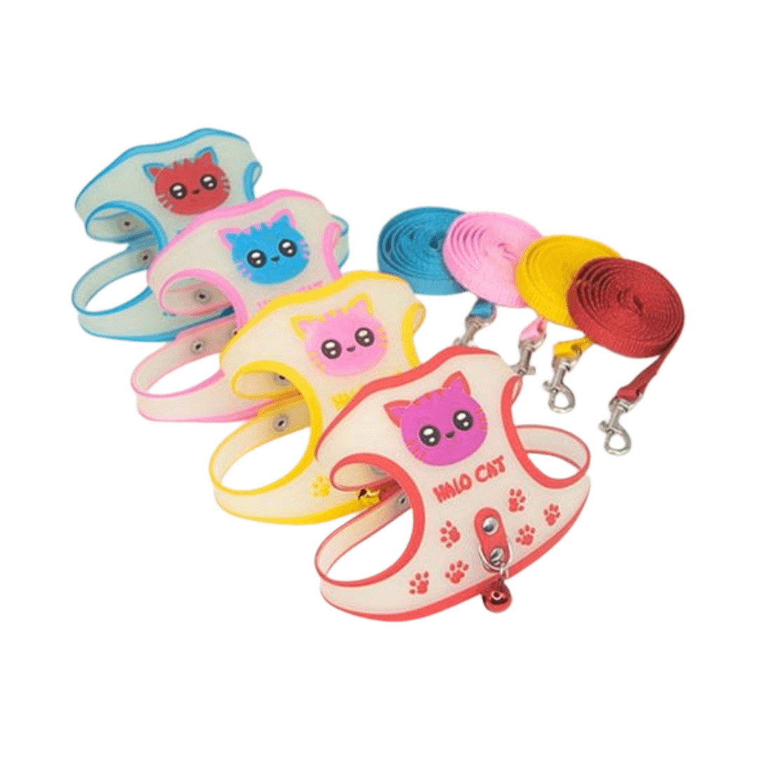 Stylish Silicone Radium Harness