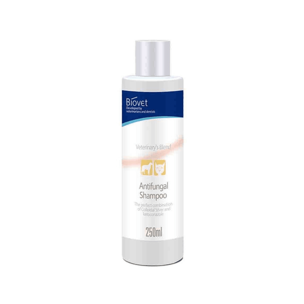 Biovet Antifungal Anti Bacterial Shampoo for Dogs & Cats 250ml