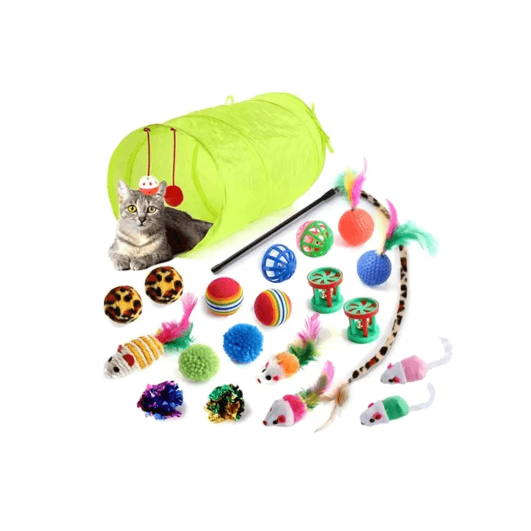 21 Pieces Toy Set
