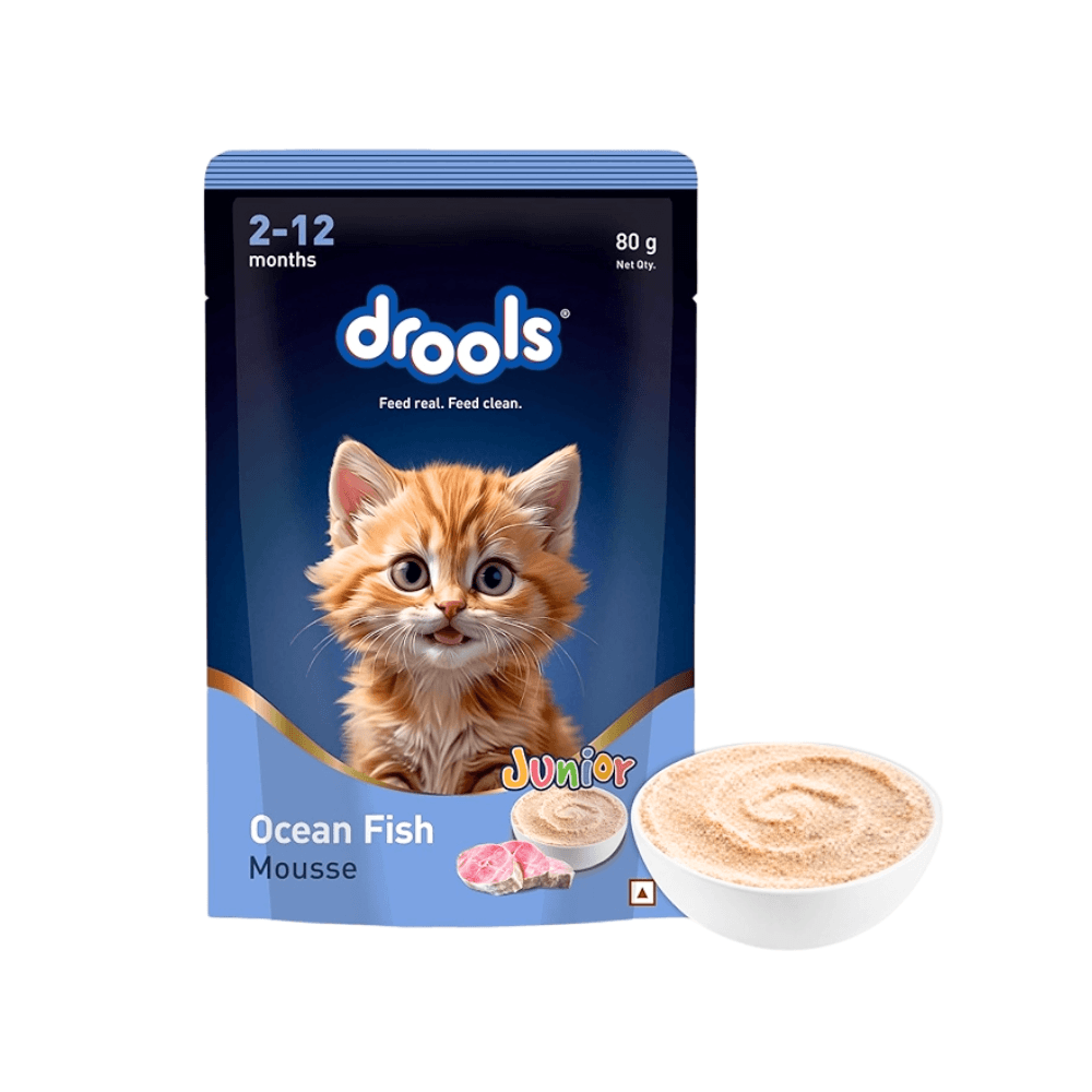 Drools Kitten Cat Pouch Ocean Fish Mousse 80g