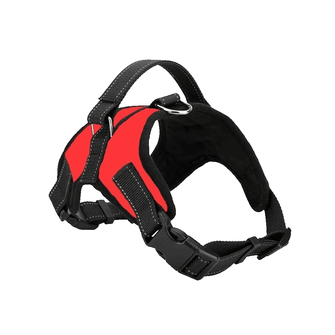 Premium Stylish Adjustable Dog Belt