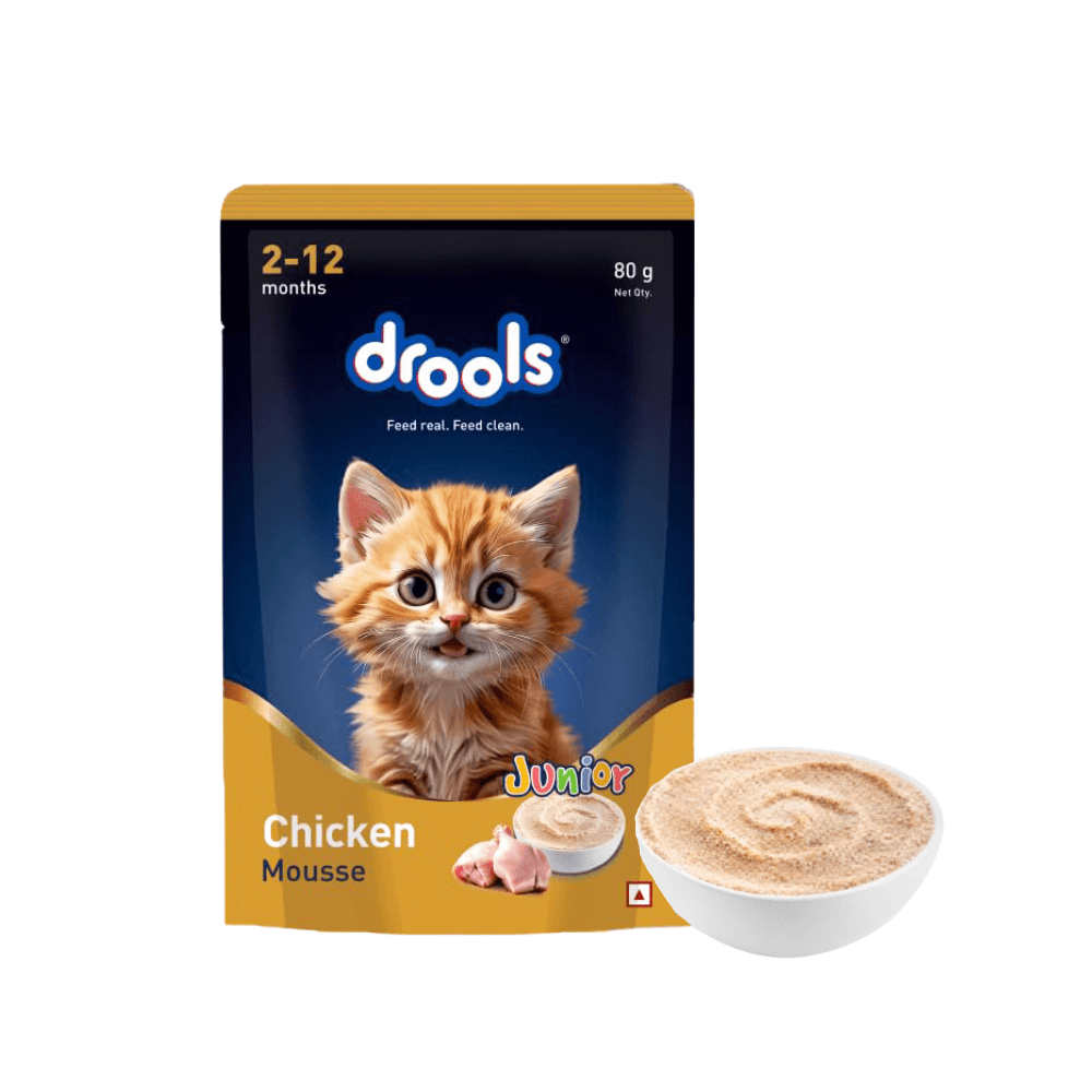 Drools Kitten Cat Pouch Chicken Mousse 80g