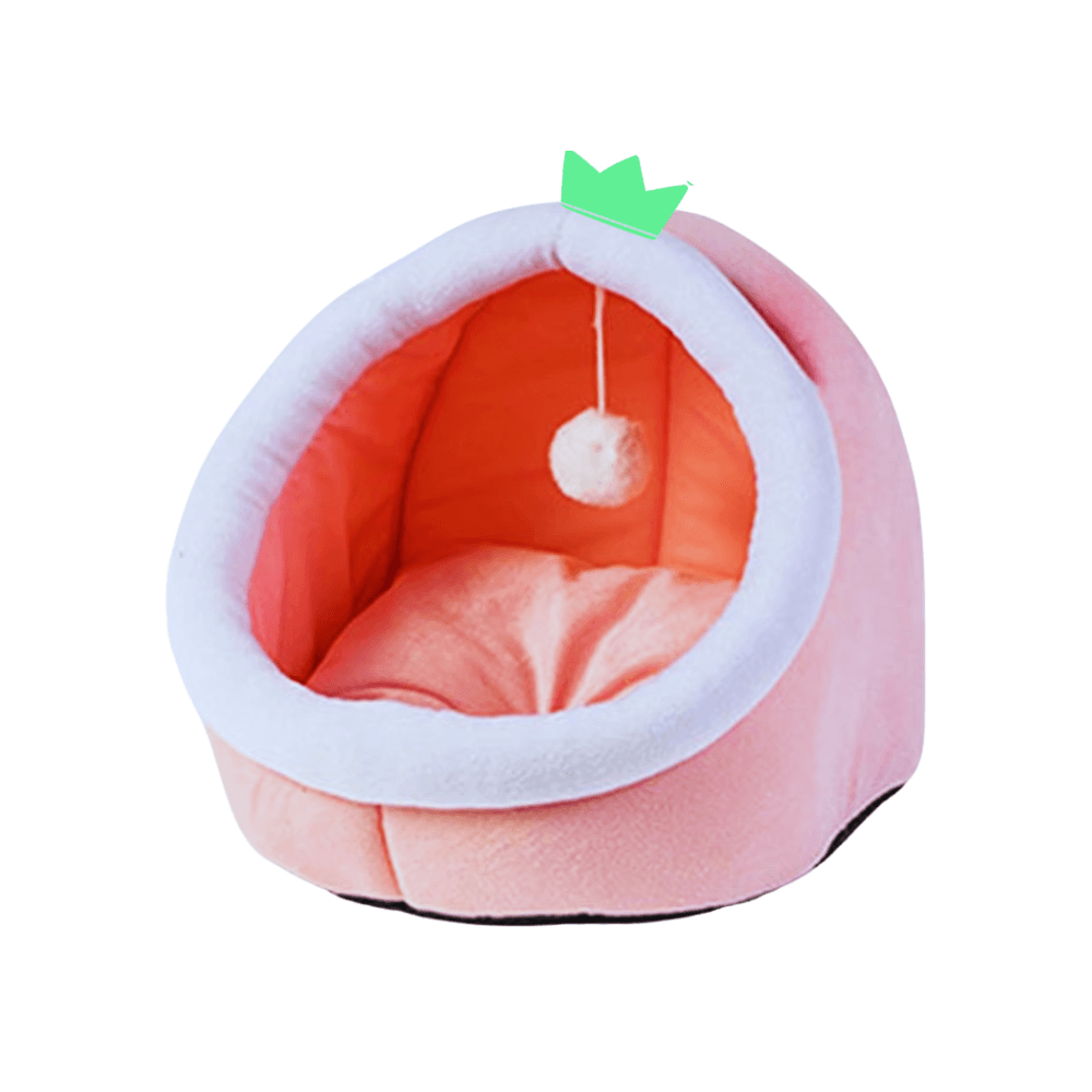 Extra Large Premium Cartoon House for Cats & Puppies