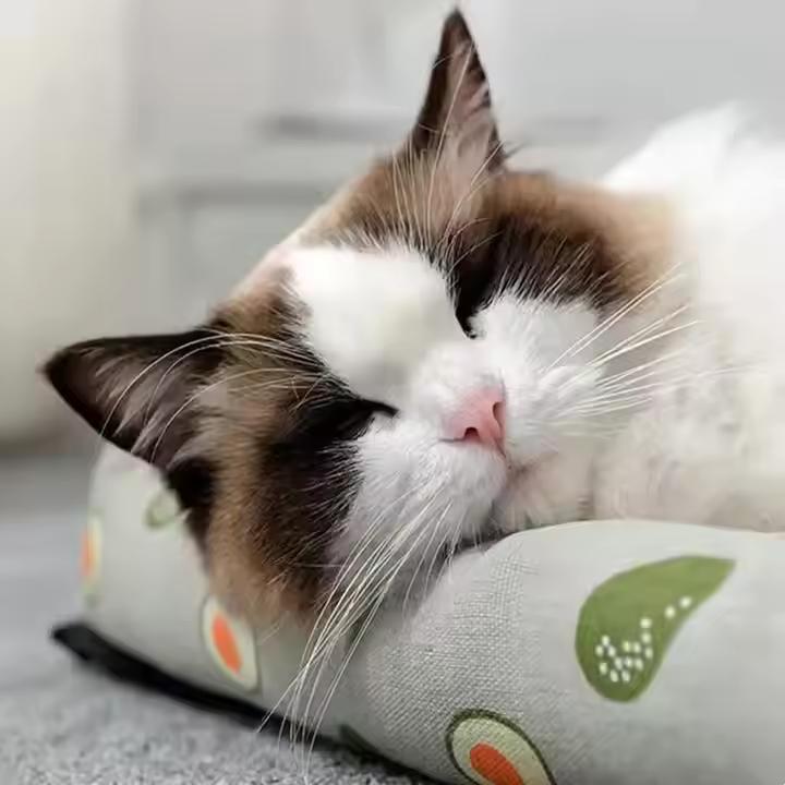 Sophisticated Washable Linen Pet Sleeping Bed with Bamboo Mat