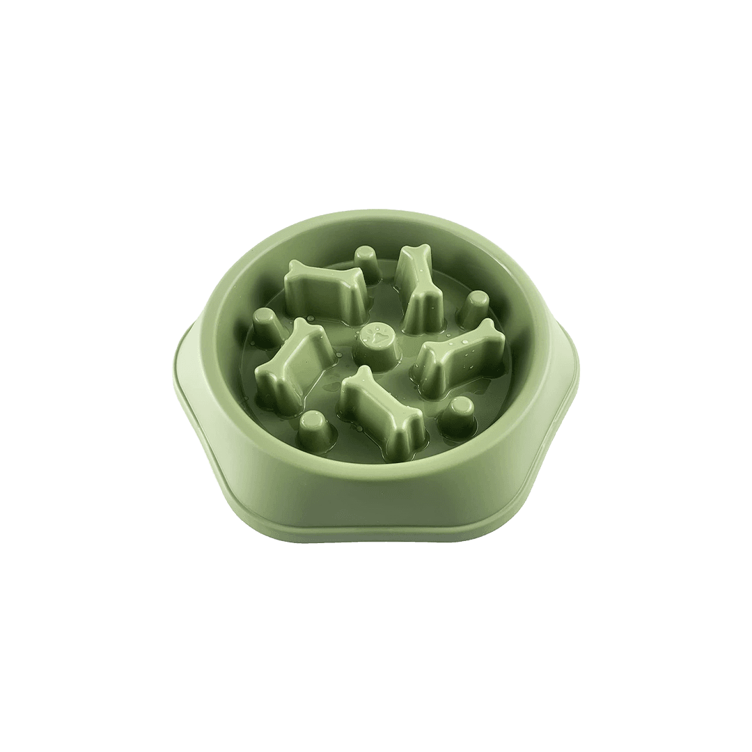 Premium Feeding Bowl for Cats & Dogs