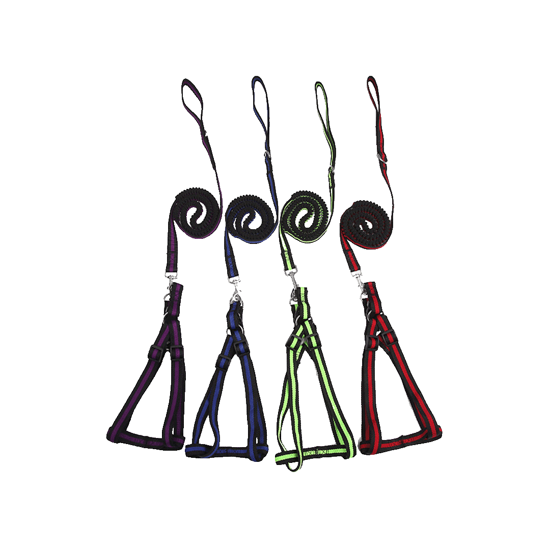 Adjustable Nylon Dog Harness and Leash