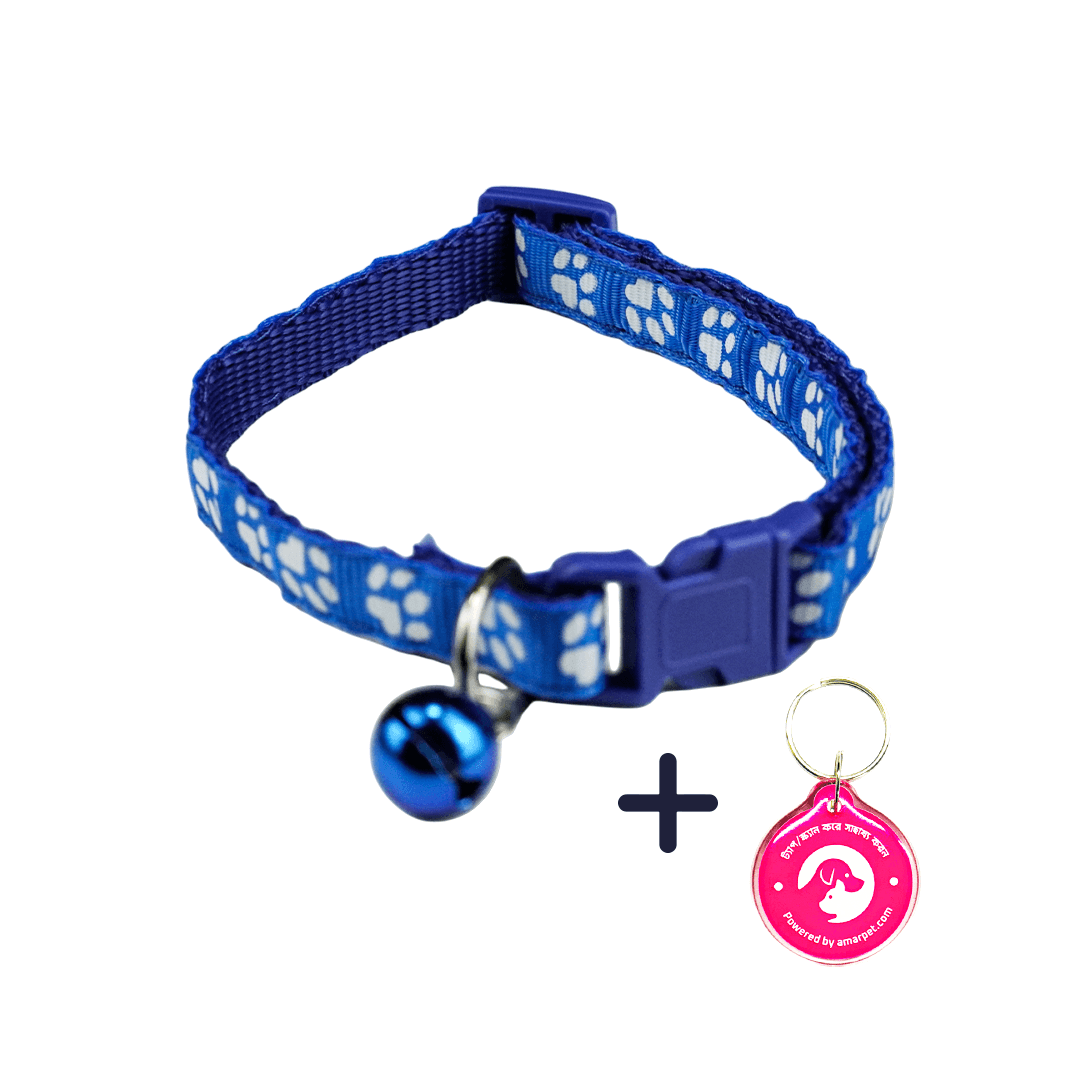 AmarPet Smart Pet Tag with Blue Collar Combo