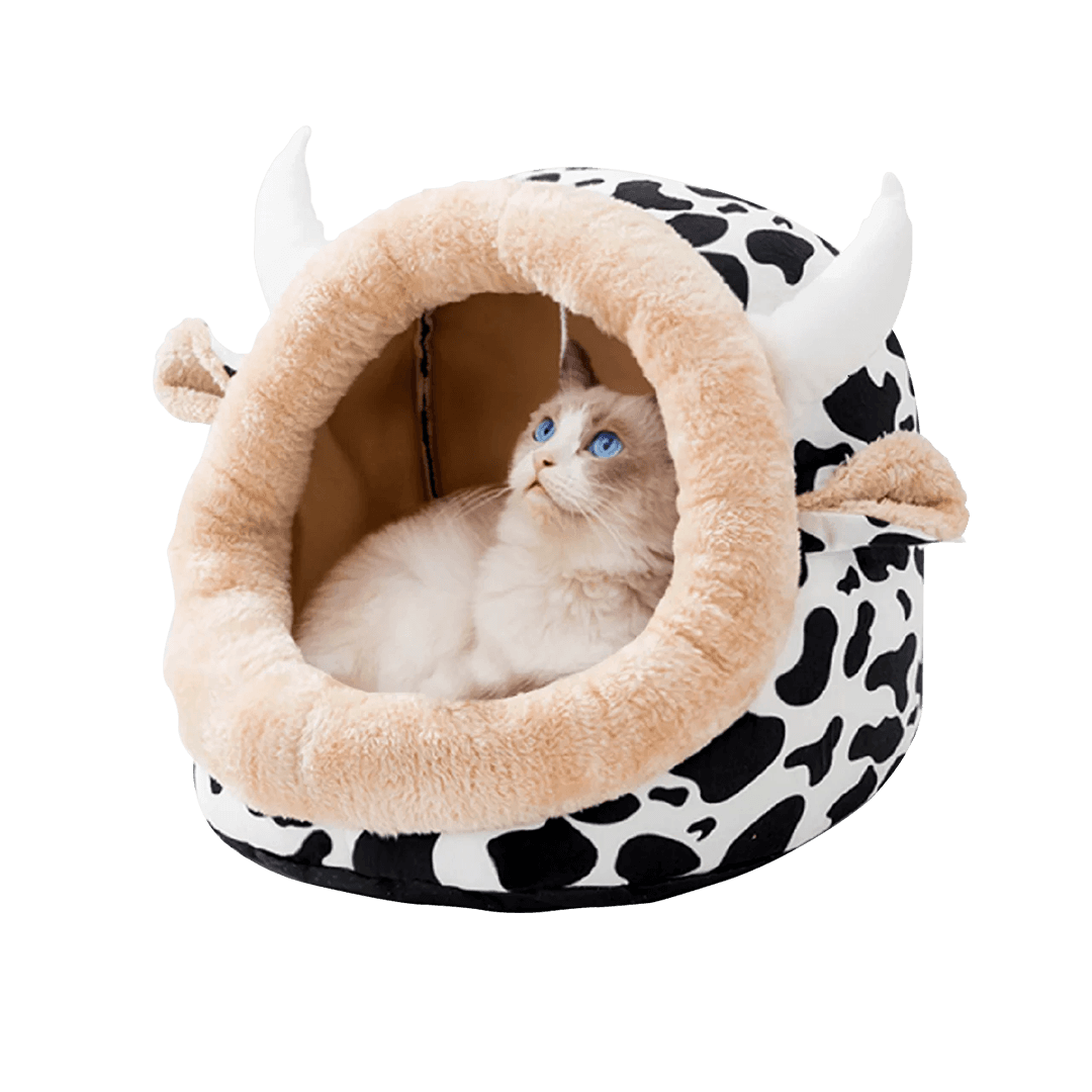 Large Premium Cartoon House for Cats & Puppies