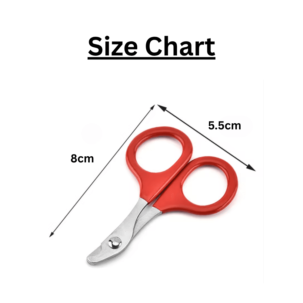 Pet Nail Cutter Scissors Cat Nail Clippers
