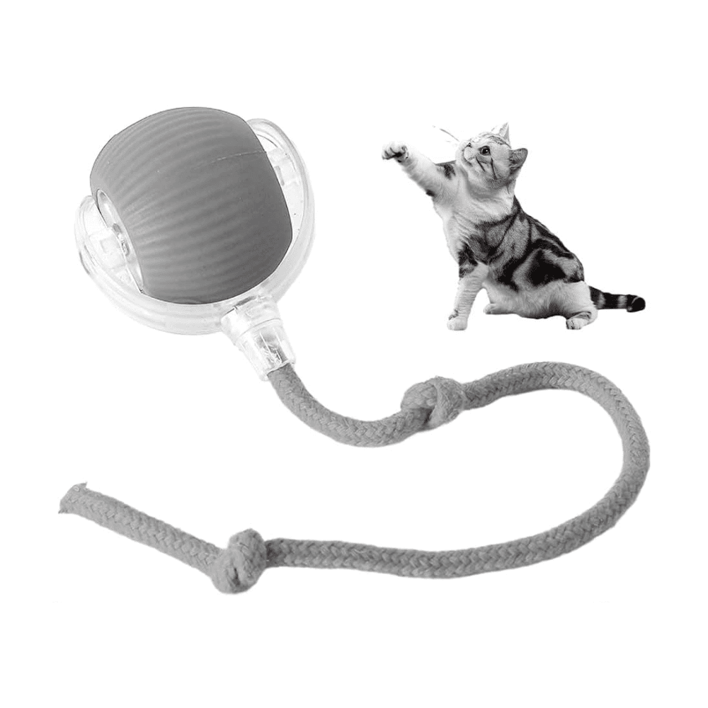 3 Modes Rechargeable Cat Toy Rolling Ball Electric Automatic Toys