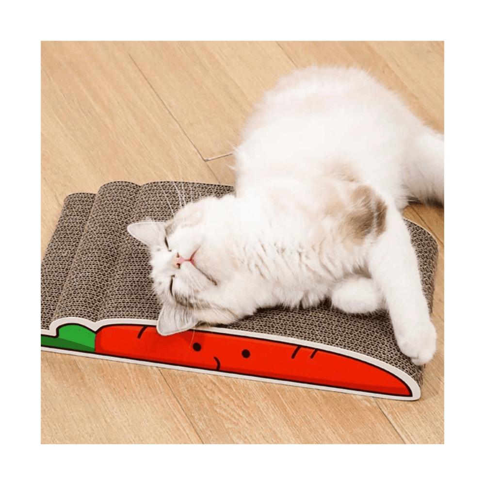 Carrot Shape Playful Cat Scratching Toy