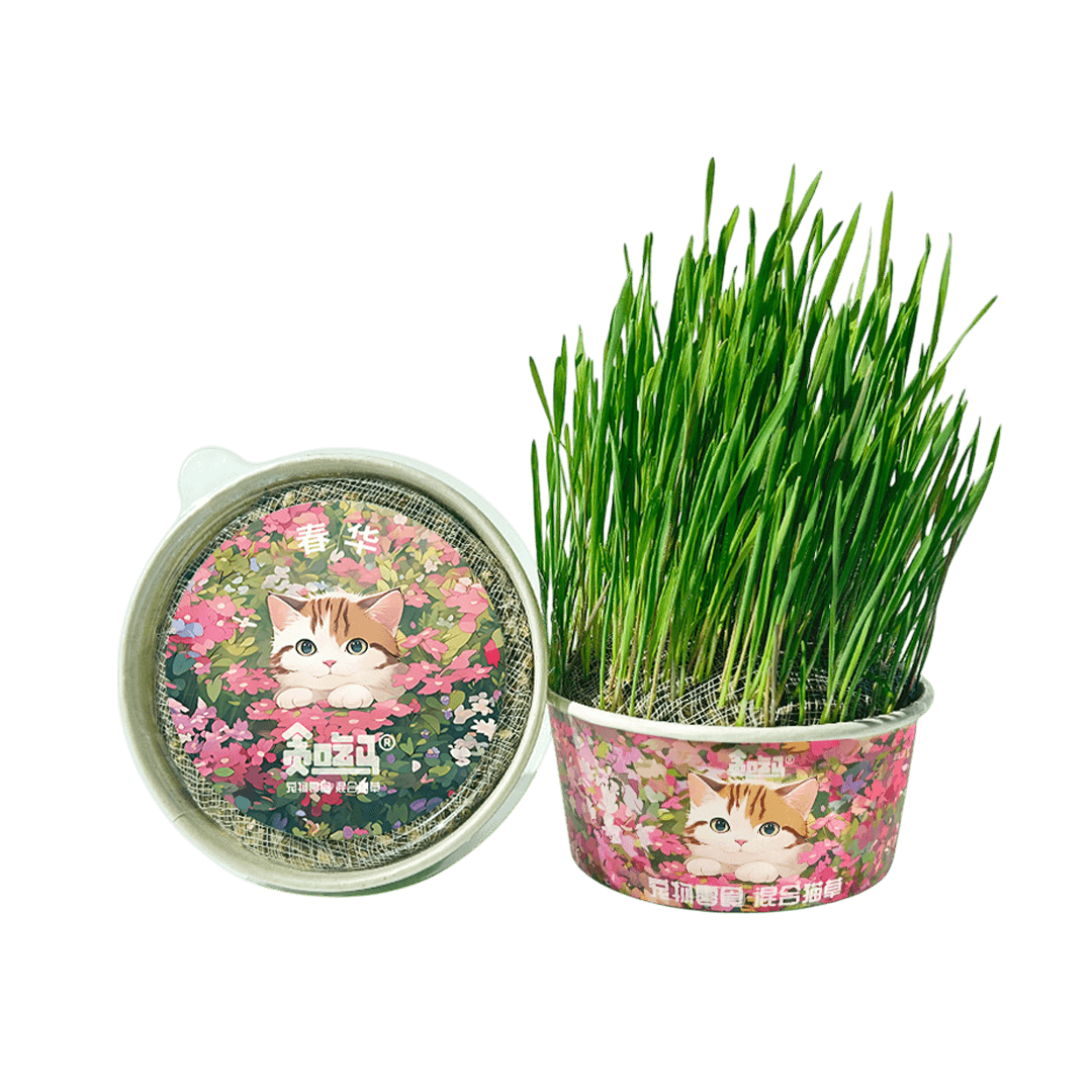 Soilless Mixed Greedy Horse Spring Pet Cat Grass Kit