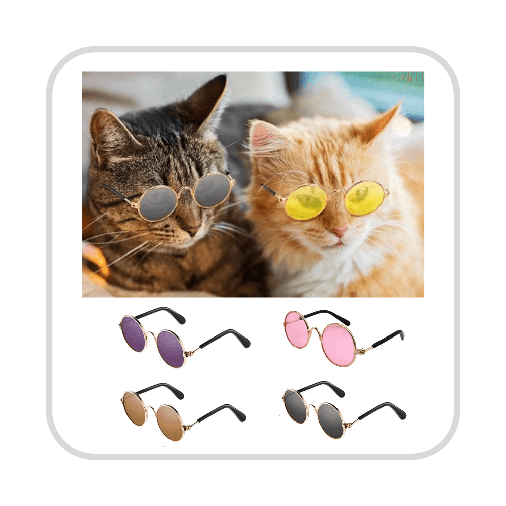 Trendy Sunglass for Pets