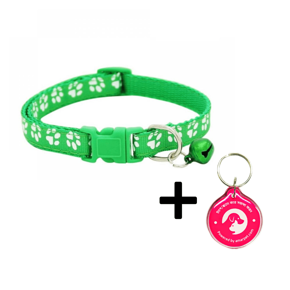 AmarPet Smart Pet Tag with Green Collar Combo