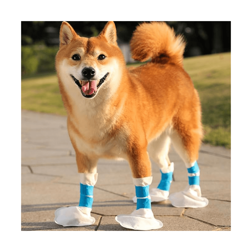20 Pieces Set Waterproof Disposable Dog Shoes Paw Protector with Self Adhesive Bandage
